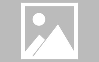 海盐关于网站制作的文章（关于网站制作的文章有哪些）